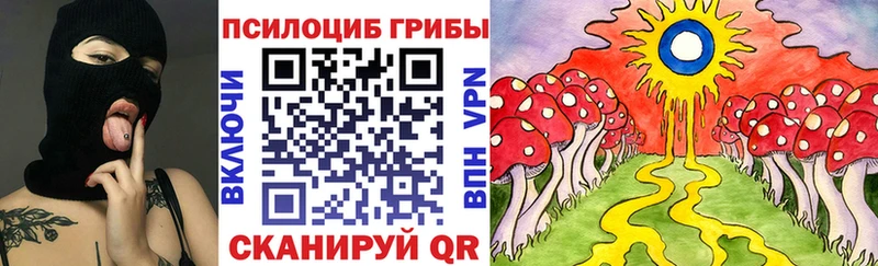 сколько стоит  Углегорск  Галлюциногенные грибы мицелий 